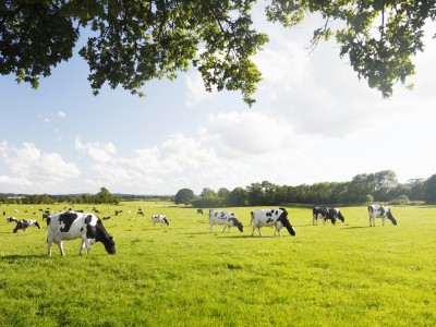 iStock 000017509086Medium v2