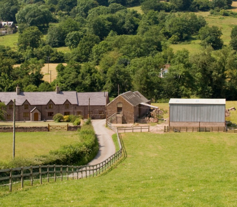 iStock 000004120063Small