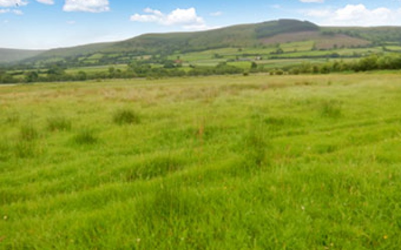 llan and treberfydd fields
