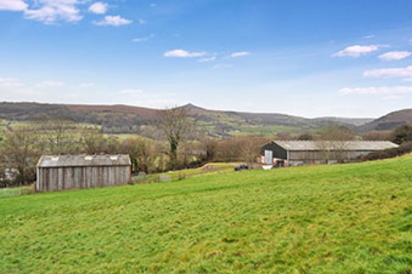 DSC 0538 RAV0047972 3