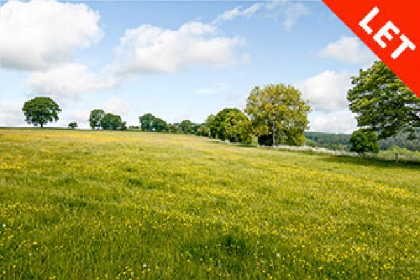 8256944 exterior22 800 web